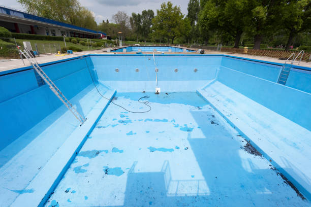 Best Basement water damage restoration  in Hampton, GA