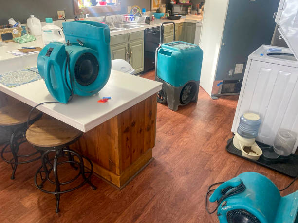 Best Water damage restoration near me  in Hampton, GA