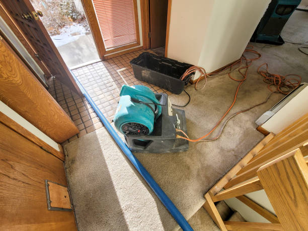 Best Residential water damage restoration  in Hampton, GA