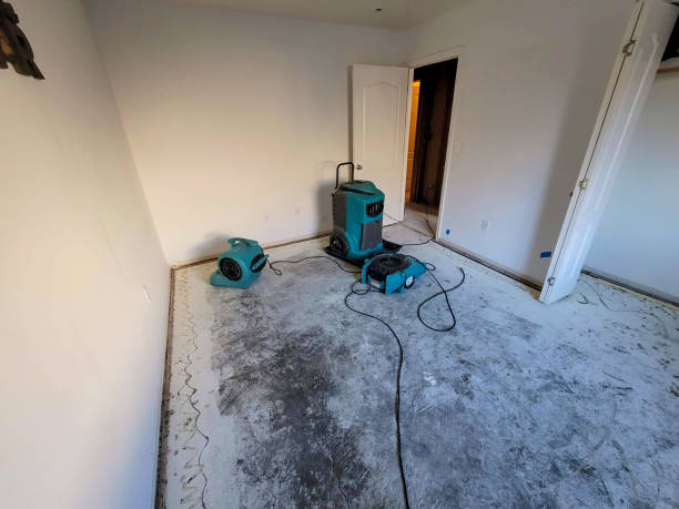 Best Emergency water damage restoration  in Hampton, GA