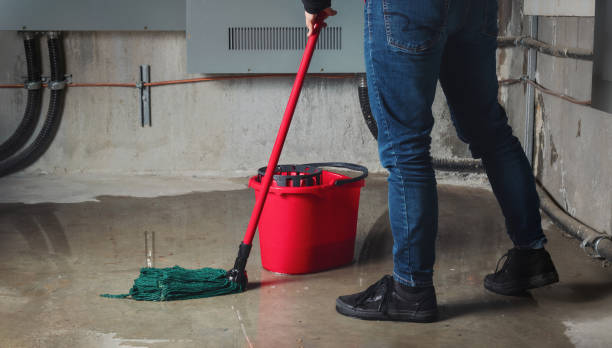 Best Local water damage restoration  in Hampton, GA
