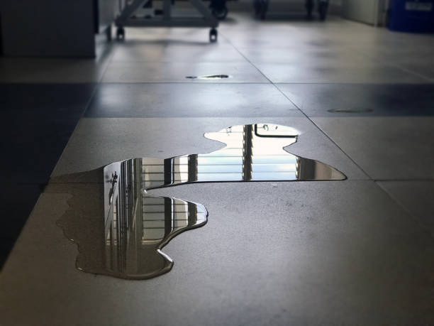 Best Water damage restoration near me  in Hampton, GA