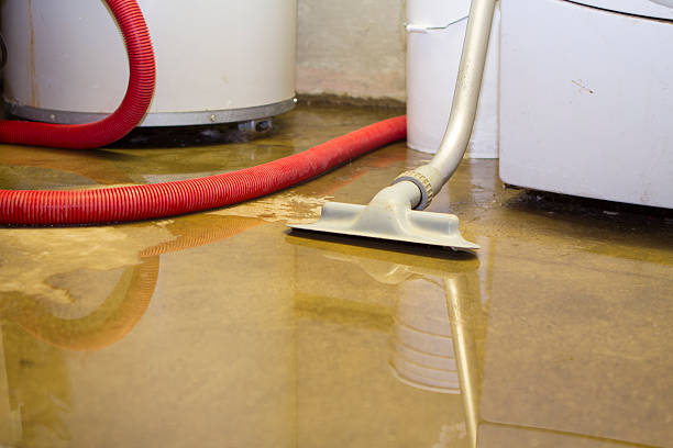 Best Water damage cleanup near me  in Hampton, GA