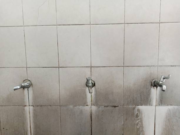 Best Water damage restoration mold remediation  in Hampton, GA