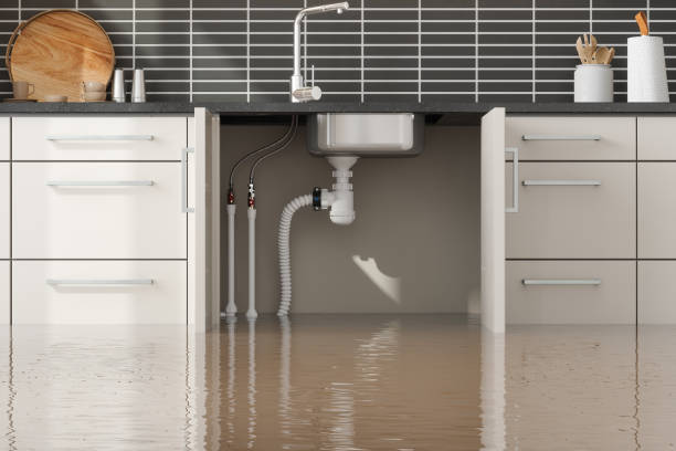 Best Mold removal after water damage  in Hampton, GA