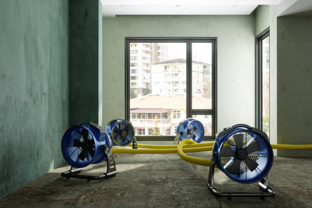  Hampton, GA Water damage restoration Pros