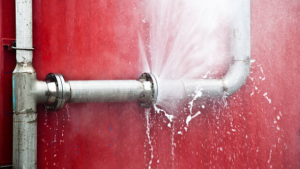 Best Flood damage cleanup  in Hampton, GA