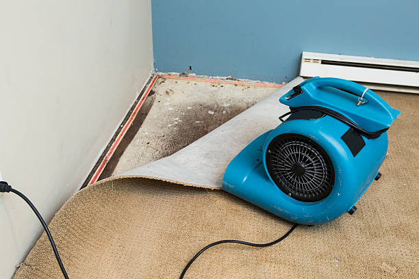 Best Water damage restoration insurance claims  in Hampton, GA